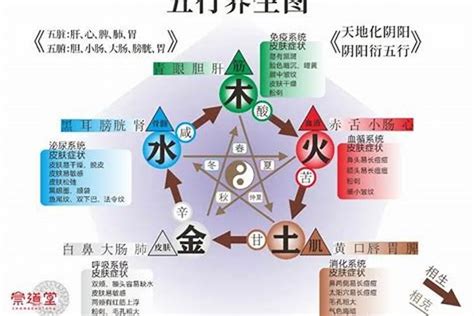 缺木缺火|你知道自己五行缺什麼嗎？缺「木」的五行該如何調。